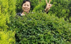 一卫校学生聚餐每人收400元